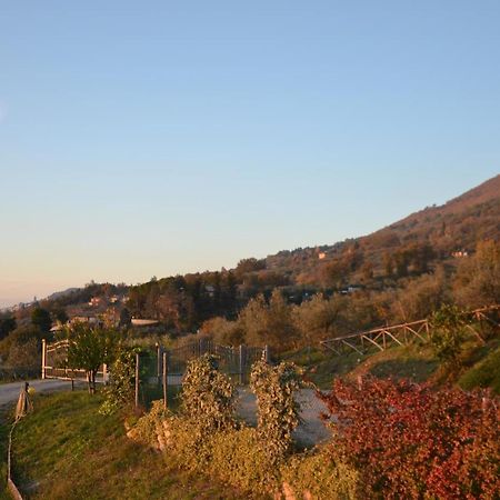 Locazione Turistica Villa Delle Rose Assisi Exterior photo